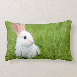 Almofada Lombar Coelho branco