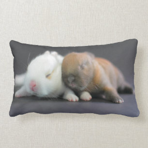 Almofada Lombar Coelhos do anão de Netherland