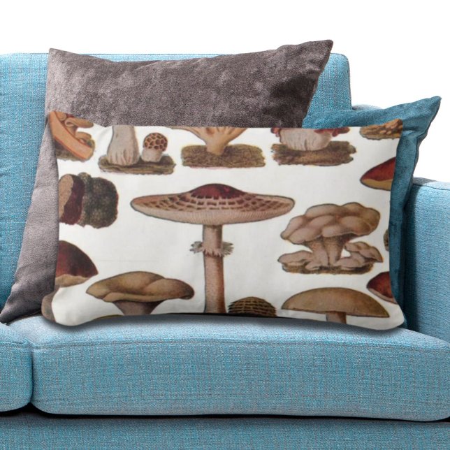 Almofada Lombar cogumelos hipster botânico francês (hipster french botanical print vintage mushrooms lumbar pillow)