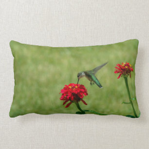 Almofada Lombar Colibri e Zinnias vermelhos