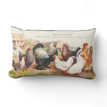 Colorido grupo de galinhas no travesseiro decorati