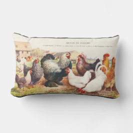 Almofada Lombar Colorido grupo de galinhas no travesseiro decorati