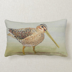 Almofada Lombar Comum Snipe o travesseiro