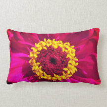 Cor-de-rosa vívido e vermelho