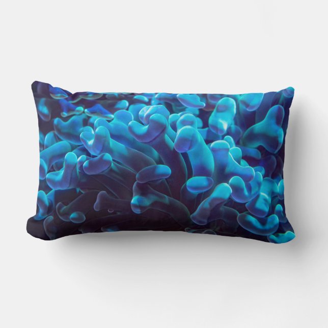 Almofada Lombar Coral azul (Frente)