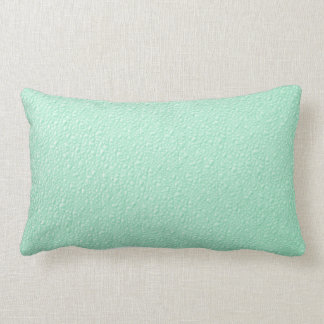 Almofada Lombar Cores na moda do verde Pastel da hortelã