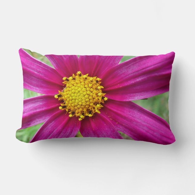 Almofada Lombar Cosmos Wildflower (Frente)