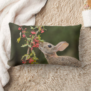 Almofada Lombar Cottontail oriental Sul do Texas