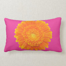 coxim alaranjado da margarida do gerbera
