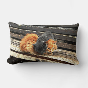 Almofada Lombar Cuecas Catnap