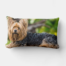 Almofada Lombar Cute Yorkshire Terrier Dog no jardim