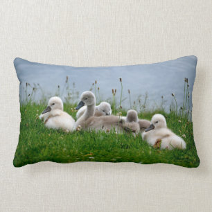 Almofada Lombar Cygnets bonitos da cisne - travesseiro