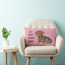 Almofada Lombar Dachshund Meu Melhor Amigo Nome Personalizado De P