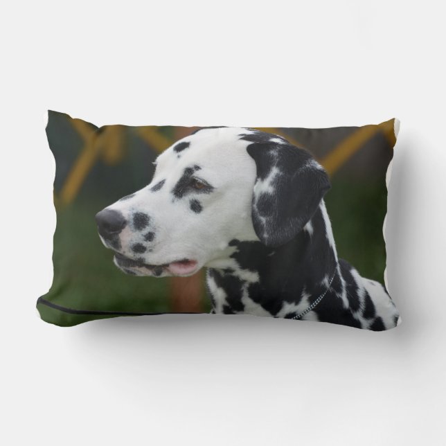 Almofada Lombar Dalmatian com pontos (Frente)