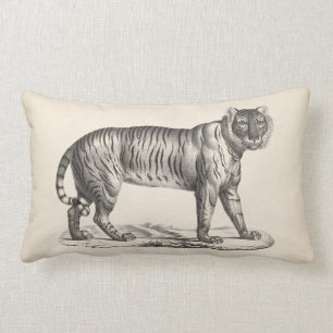 Almofada Lombar Desenho de Brodtmann Tiger