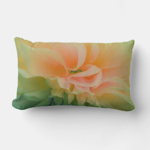 Almofada Lombar Design