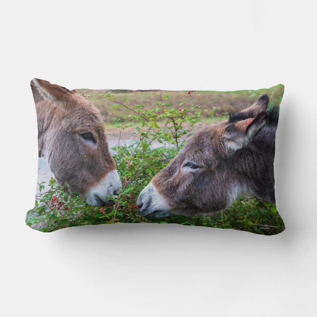 Almofada Lombar Donkeys, (Frente)