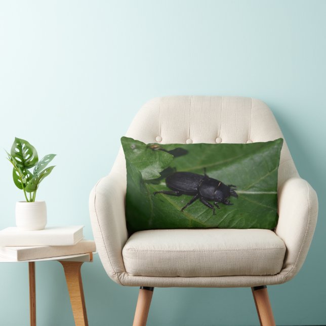 Almofada Lombar Dorcus parallelipipedus , o escaravelho inferior (Cadeira)