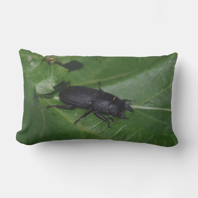 Almofada Lombar Dorcus parallelipipedus , o escaravelho inferior (Frente)