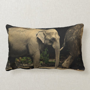 Almofada Lombar Elefante