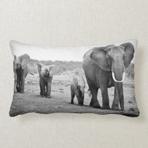 Almofada Lombar Elefante africano & vitelas Kenya, África