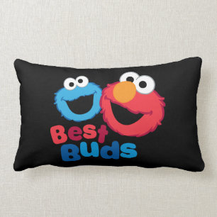 Almofada Lombar Elmo e Cookie Melhores Amigos