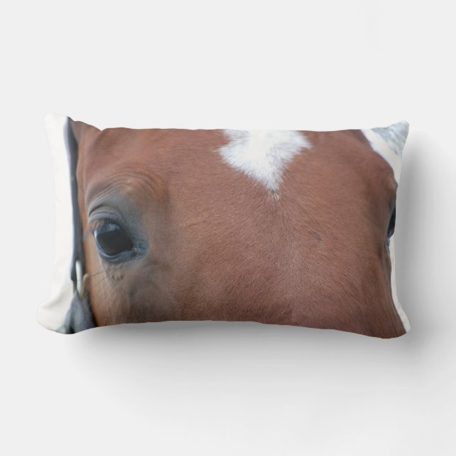 Almofada Lombar Encerramento do Chestnut Horse (Frente)