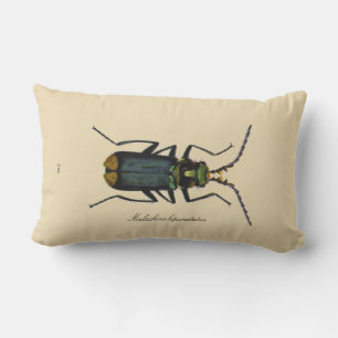 Almofada Lombar Entomologia Revers do besouro da malaquite dos