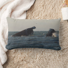 Almofada Lombar Estados Unidos Atlantus Concrete Shipreck, Travess