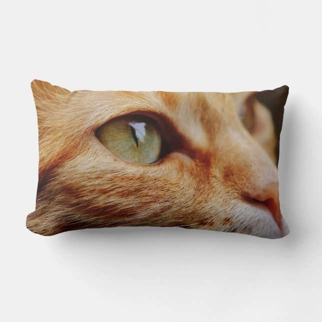 Almofada Lombar Face determinada de um gengibre (Frente)