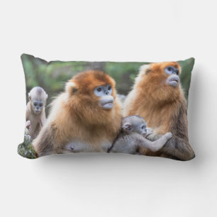 Almofada Lombar Família de Macaco-de-nariz-arrebitado-dourado