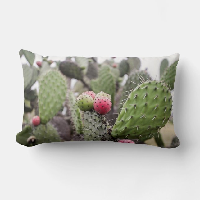 Almofada Lombar Feche O Cactus De Pear (Frente)
