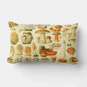 Almofada Lombar Ferramentas de Vintagem de Cogumelo Arte Botânica