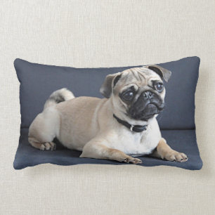 Almofada Lombar Filhote de cachorro no sofá Lounging