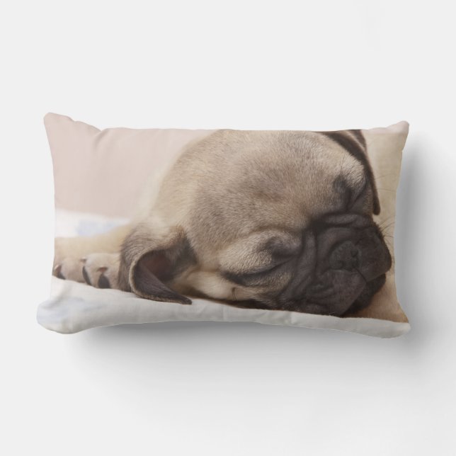 Almofada Lombar Filhote de cachorro que dorme sadia (Frente)