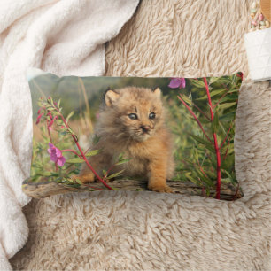 Almofada Lombar Filhote de Lince Canadense, Alasca