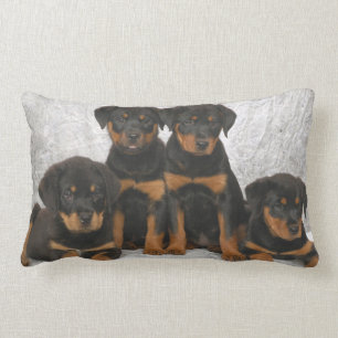 Almofada Lombar Filhotes de cachorro de Rottweiler