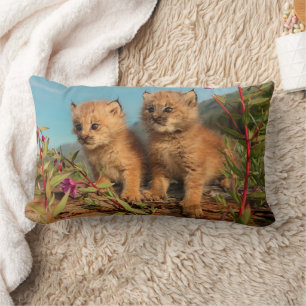Almofada Lombar Filhotes de Lince Canadense, Alasca