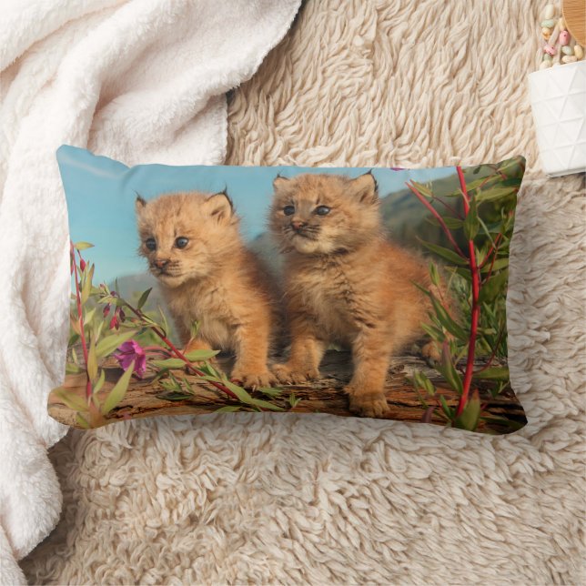 Almofada Lombar Filhotes de Lince Canadense, Alasca (Cobertor)