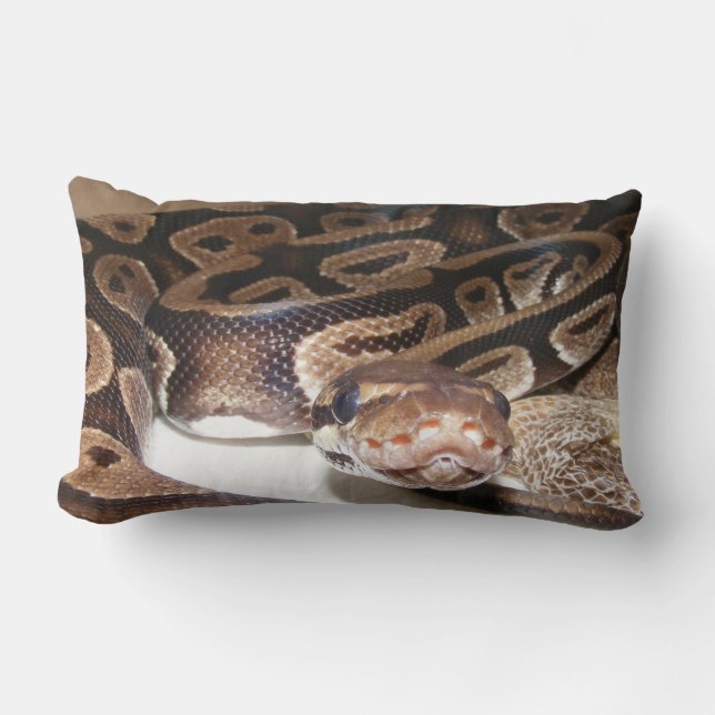 Almofada Lombar Fiona diz olá! (Frente)