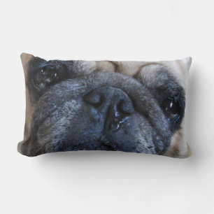 Almofada Lombar Fique Bem Em Breve, Cão Doente