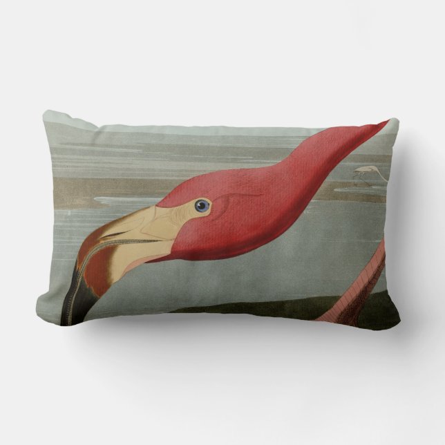 Almofada Lombar Flamingo americano (Frente)