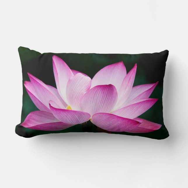 Almofada Lombar Flor de Lotus Rosa (Frente)