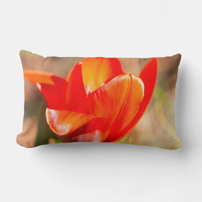 Almofada Lombar Flor de Tulipas Vermelhas (Frente)