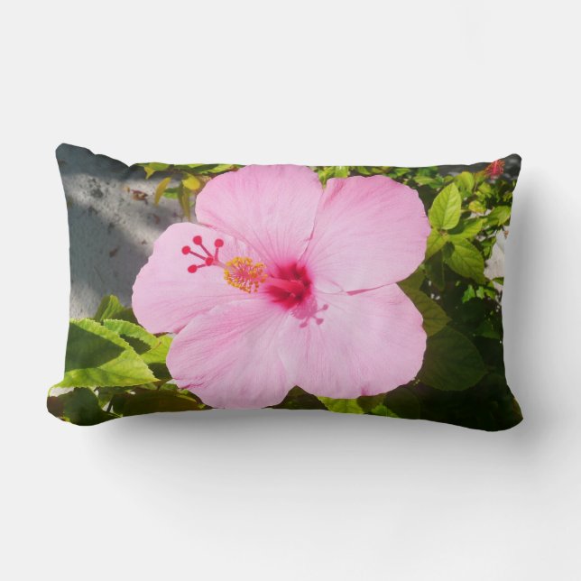 Almofada Lombar Flor Tropical de Hibiscus Rosa (Frente)