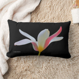 Almofada Lombar Flores Brancas Brancas de Lady Tulip
