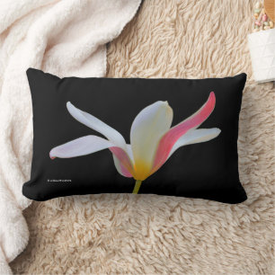 Almofada Lombar Flores Brancas Brancas de Lady Tulip