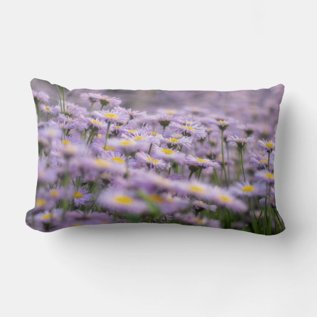 Almofada Lombar Flores de Aster Roxo (Frente)