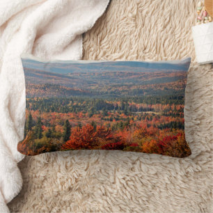 Almofada Lombar Floresta Nacional White Mountains Nova Hampshire