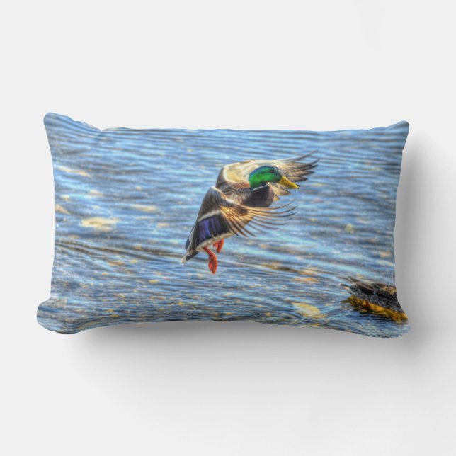 Almofada Lombar Flying Mallard Duck Drake Wildlife Foto (Frente)